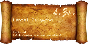 Lantai Zsigmond névjegykártya